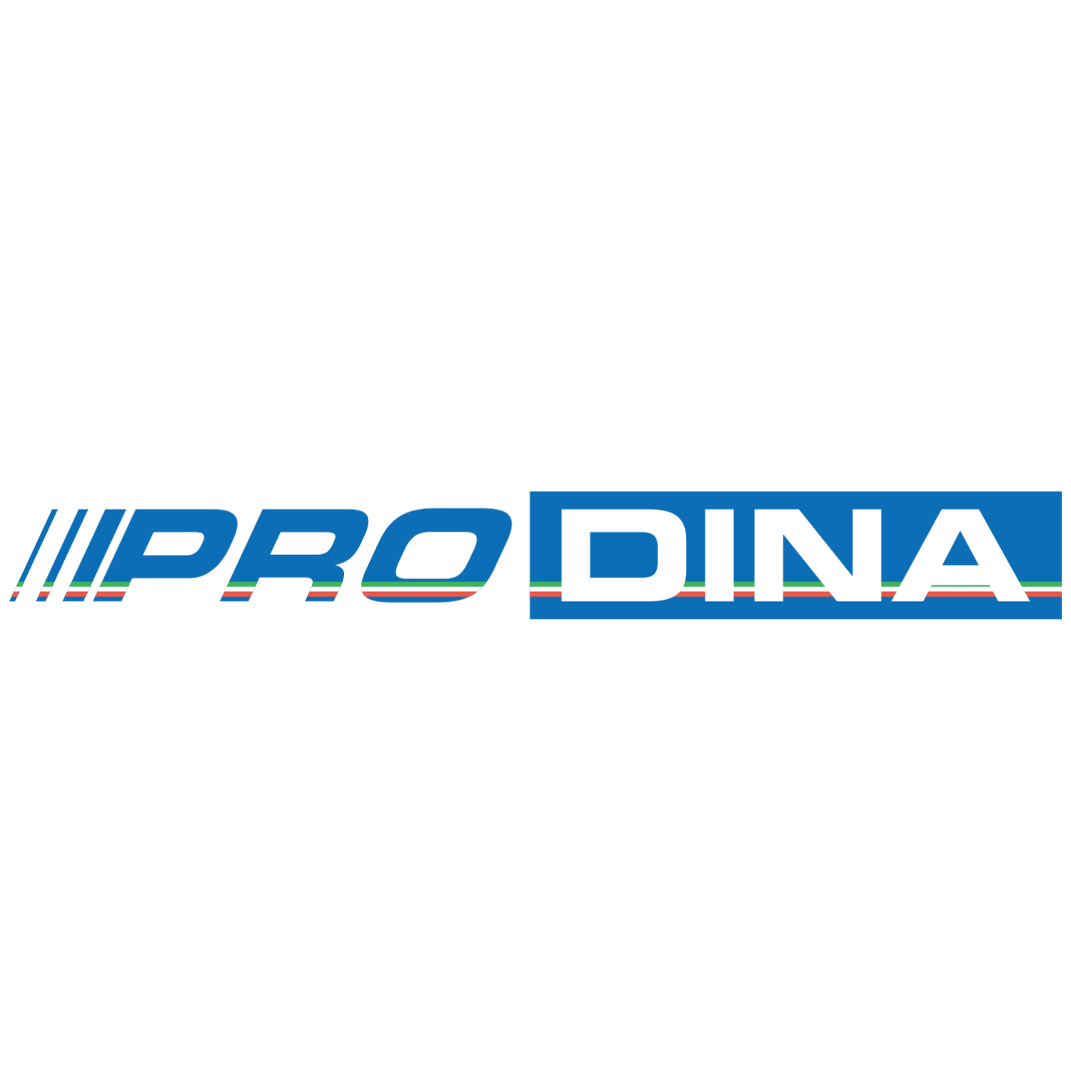 Prodina Logo