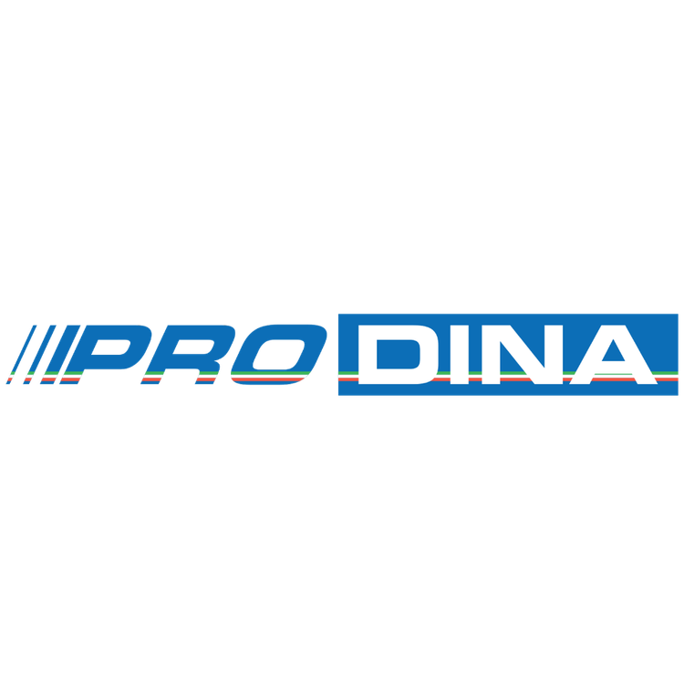 Prodina Logo